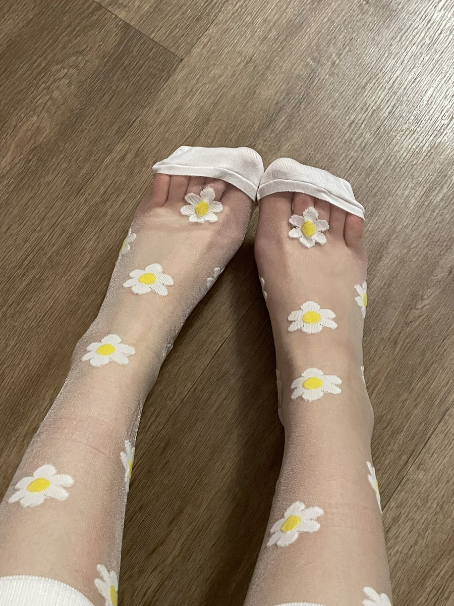 FeetsSonyaUS5's tweet photo. #feetpics #daisysocks #transparentfeet #cuteandsexy #footfetish #sockfetish #feetgoddess #soles #buyfeetpics https://t.co/OEAnS3mm56