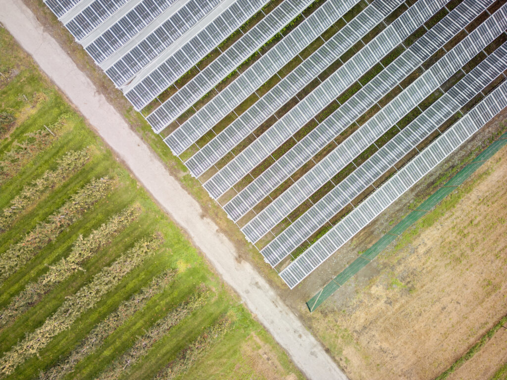 800 MWh d’électricité renouvelable par an avec une installation agrivoltaïque en Argovie dlvr.it/TKdwwg