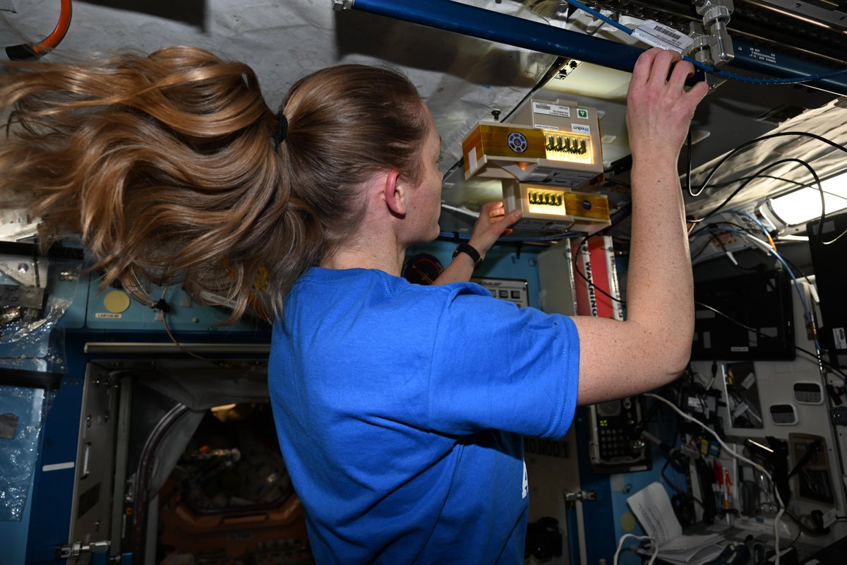 Nichole “Vapor” Ayers tweet media