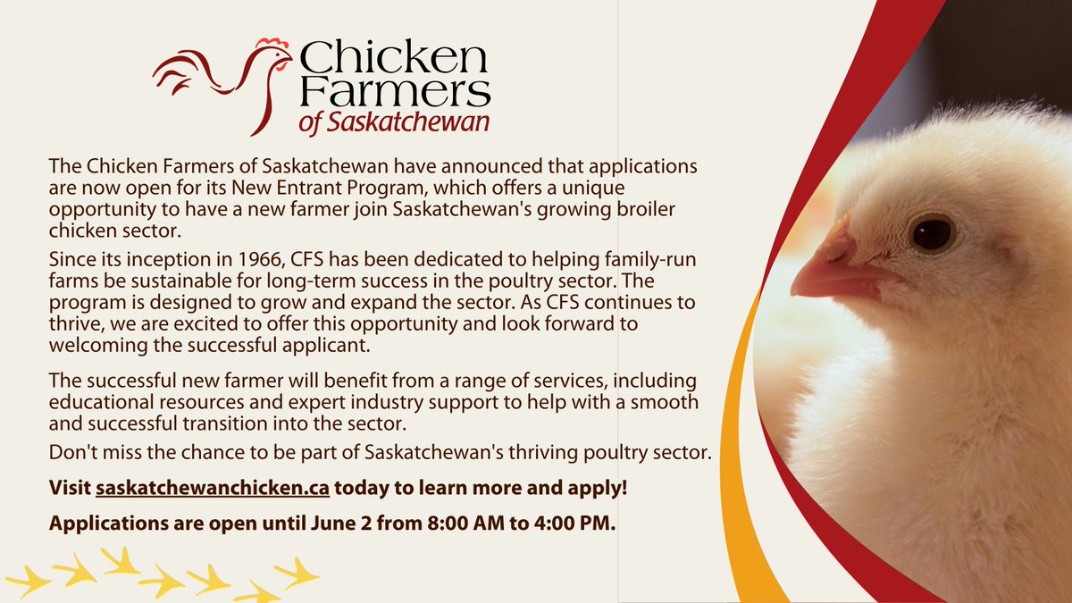 🐔 Applications for the Chicken Farmers of Saskatchewan’s New Entrant Program 2025 are NOW OPEN!

This is your chance to join Saskatchewan's growing broiler chicken sector with access to expert support and educational resources.  

APPLY TODAY! 👉 f.mtr.cool/aaxjlllyfj