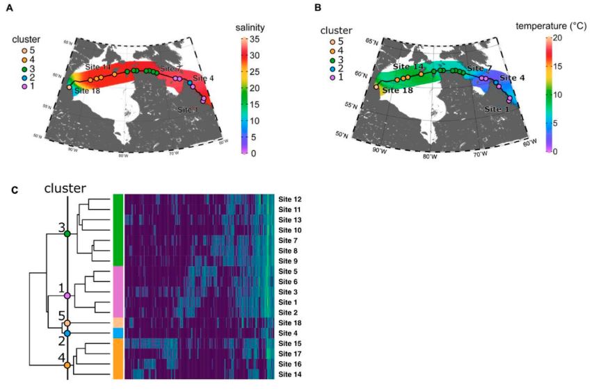 Canadian Journal of Microbiology (@canjmicrobio) on Twitter photo Featuring Loutet et al as one of <a href="/CanJMicrobio/">Canadian Journal of Microbiology</a>'s May #EditorsChoice selections:
Microbial communities in the Hudson Strait amidst rapid environmental change
📖ow.ly/6gwy50VOXog
🔗ow.ly/YcXg50VOXo7
<a href="/mcgillu/">McGill University</a> <a href="/karidunfield/">kari dunfield</a>
#MarineMicrobiology #ClimateChange #OpenAccess Featuring Loutet et al as one of <a href="/CanJMicrobio/">Canadian Journal of Microbiology</a>'s May #EditorsChoice selections:
Microbial communities in the Hudson Strait amidst rapid environmental change
📖ow.ly/6gwy50VOXog
🔗ow.ly/YcXg50VOXo7
<a href="/mcgillu/">McGill University</a> <a href="/karidunfield/">kari dunfield</a>
#MarineMicrobiology #ClimateChange #OpenAccess