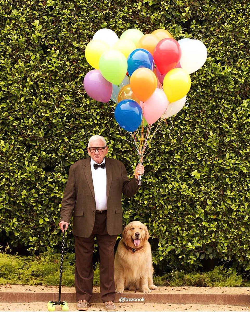 💖 (@twaniimals) on Twitter photo 