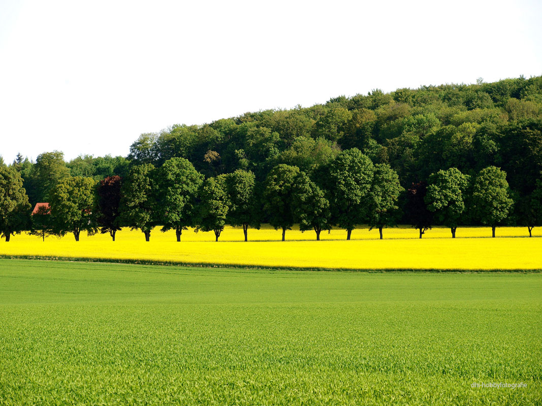 Die Stille stellt keine Fragen, aber sie kann uns auf alles eine Antwort geben. Ernst Ferstl