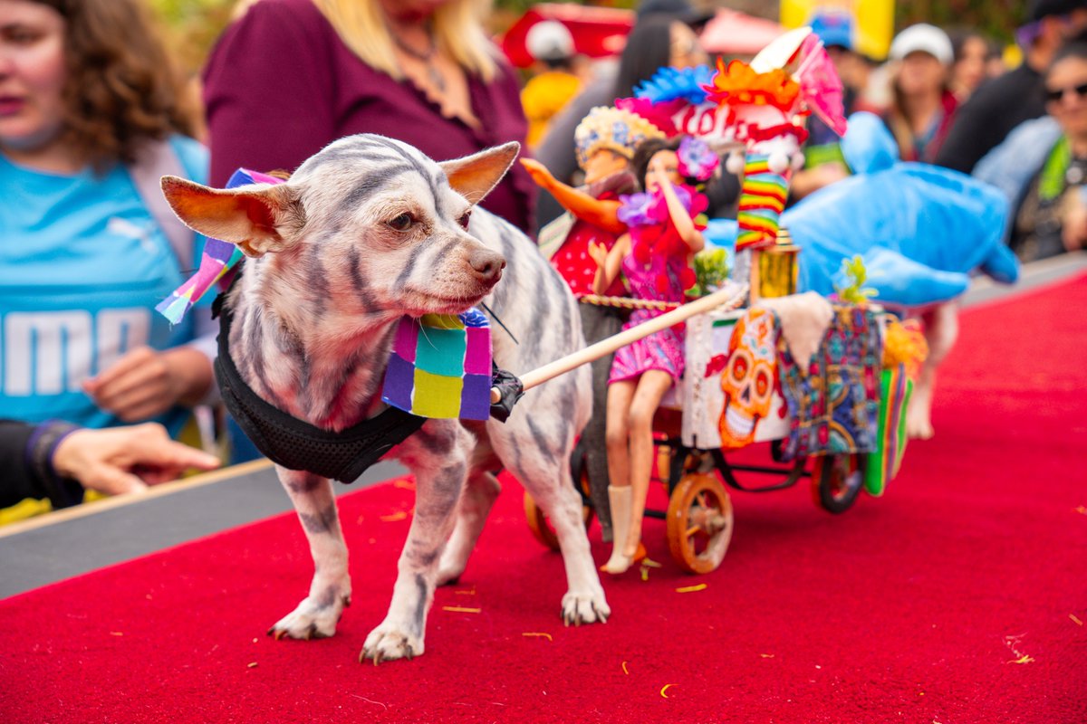 Z90.3 | San Diego tweet media