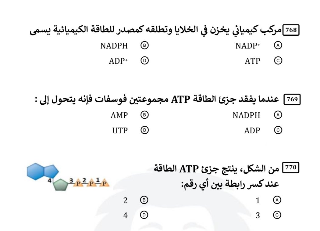 #كويزات | 💯