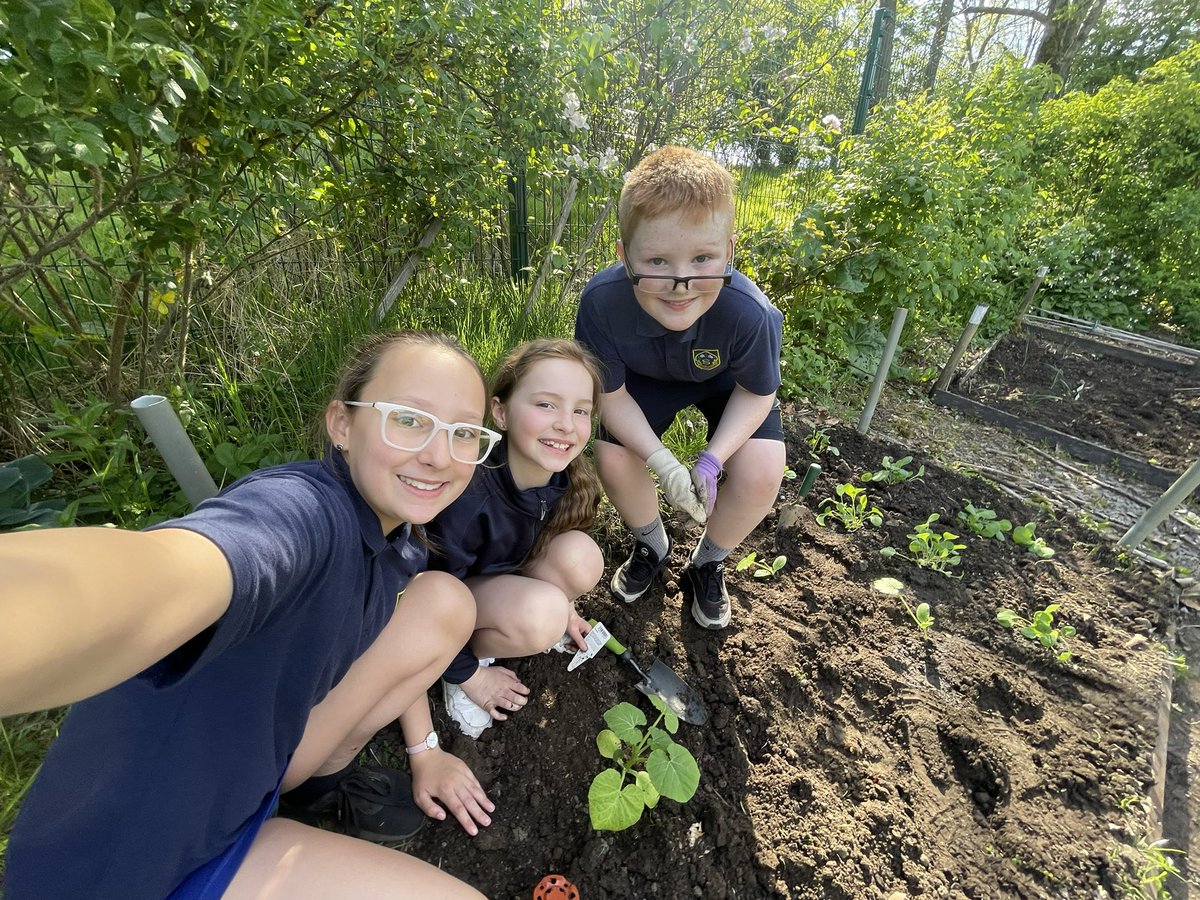 FernhillSocSub's tweet photo. Planting in the allotment @FermhillSchool #EveryDayIsOpenDay https://t.co/3uGfiyWHpI