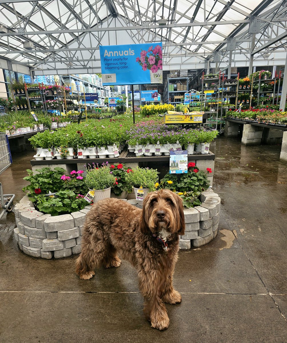 Bocker & Marie tweet media