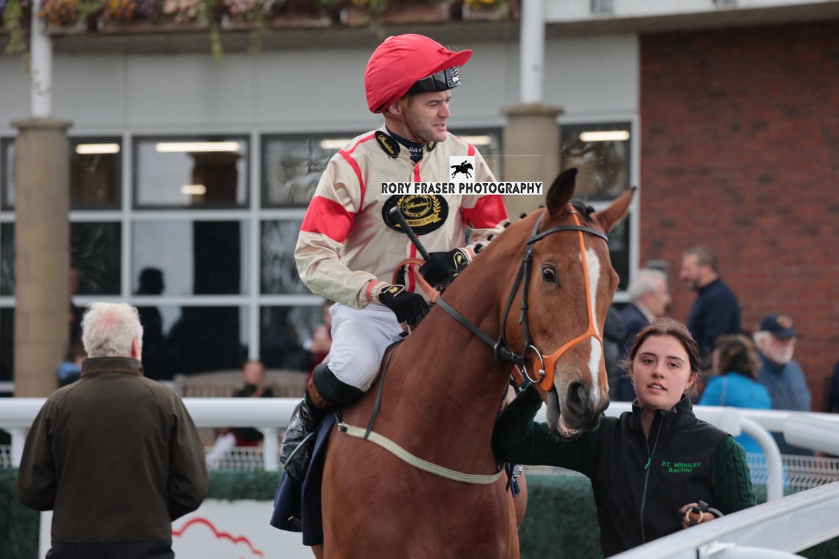 Rory Fraser Photography🤘 (@92roryf) on Twitter photo Fourth at Beverley on Monday in the class five 3-y-o handicap (5f), GET UP EVERYBODY (Invincible Army x Laila Honiwillow)
Trained by <a href="/ptmidgley/">paul midgley</a>, owned by J N Blackburn and ridden by <a href="/DavidNo45583497/">David Nolan</a>
A distant relative to very talented sprinter Hamish McGonagall, Gr.1 placed. Fourth at Beverley on Monday in the class five 3-y-o handicap (5f), GET UP EVERYBODY (Invincible Army x Laila Honiwillow)
Trained by <a href="/ptmidgley/">paul midgley</a>, owned by J N Blackburn and ridden by <a href="/DavidNo45583497/">David Nolan</a>
A distant relative to very talented sprinter Hamish McGonagall, Gr.1 placed.