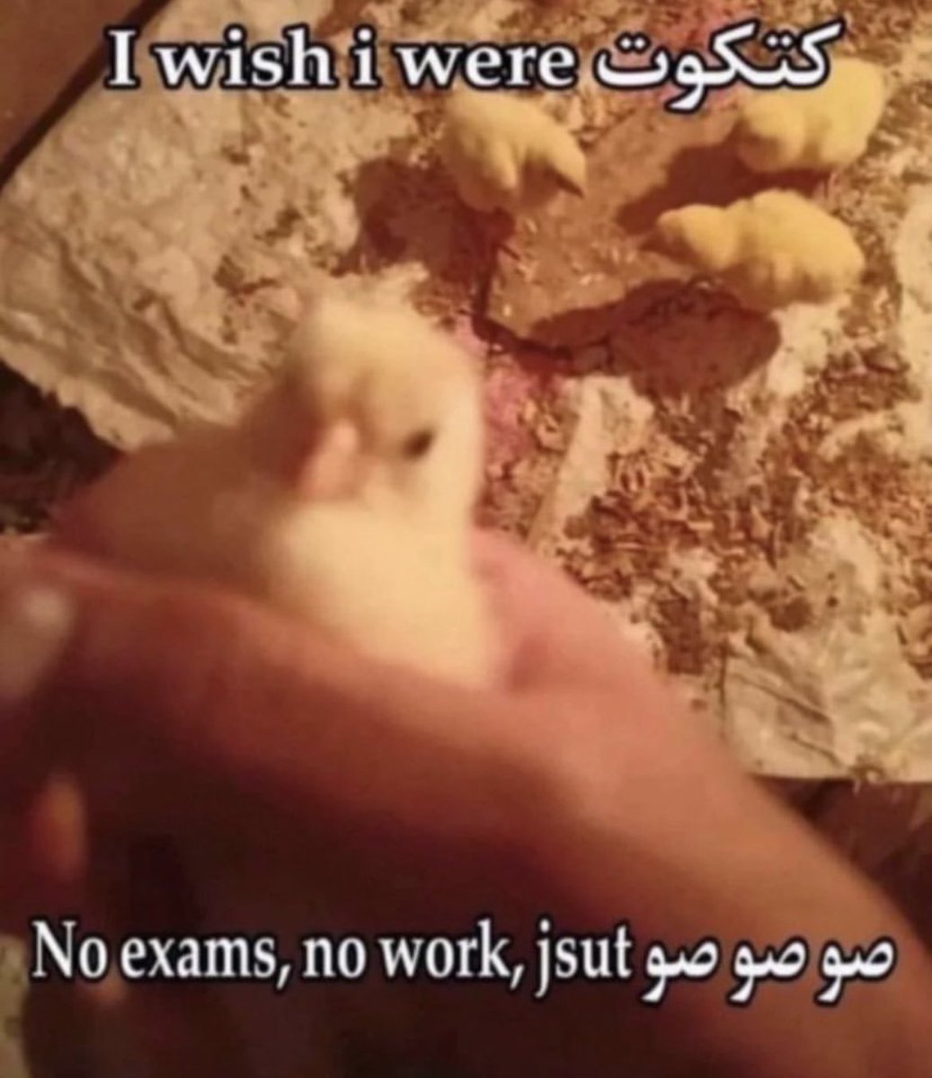 Emad (@test_emad) on Twitter photo 