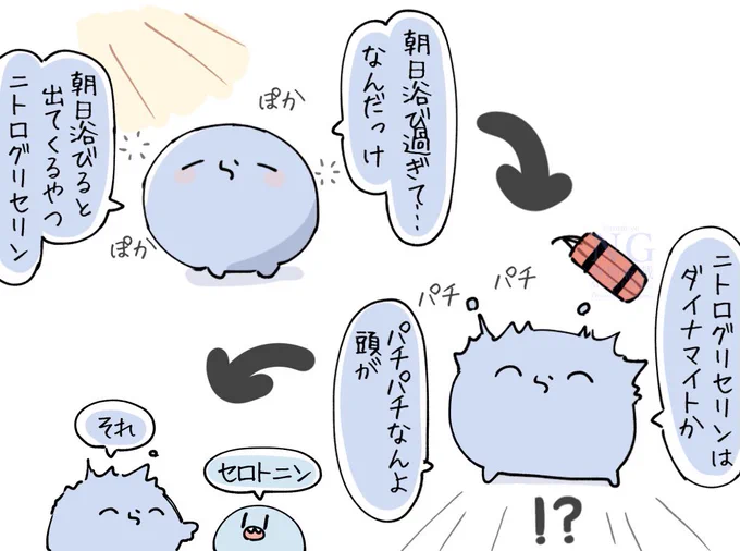 パチパチする散歩☀️ 