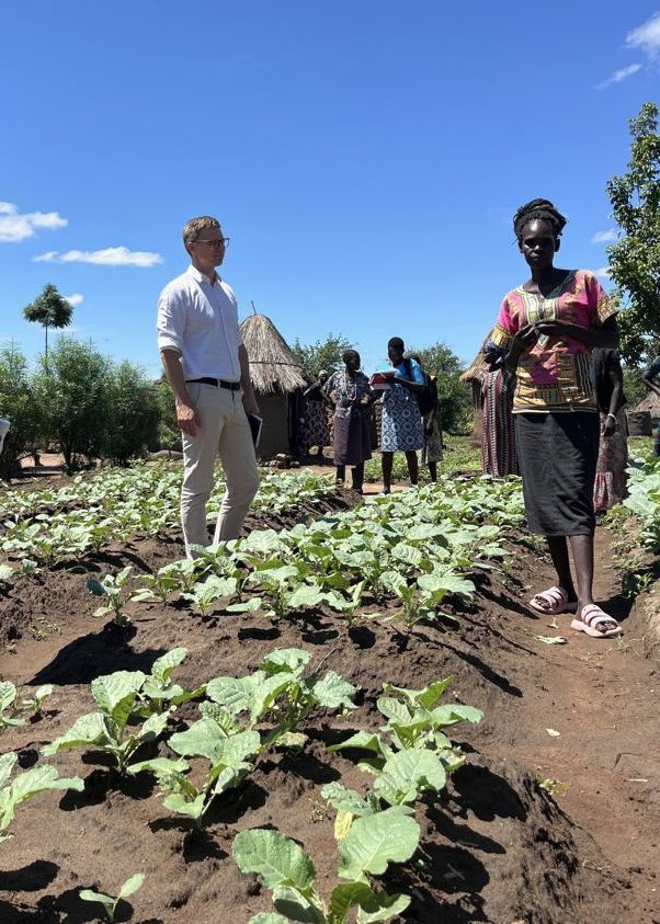 URRI_Danida's tweet image. Visited Manza Unzi Farmer Group in Adjumani with @dkinuganda & @savethechildrenug — 30 farmers (28 women!) growing food & hope together 🌱 Now supported by #URRI to build resilience, self-reliance & equality through climate-smart agriculture & inclusive practices 💪🌾