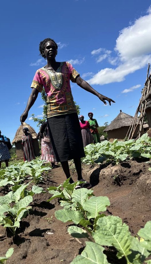 URRI_Danida's tweet image. Visited Manza Unzi Farmer Group in Adjumani with @dkinuganda & @savethechildrenug — 30 farmers (28 women!) growing food & hope together 🌱 Now supported by #URRI to build resilience, self-reliance & equality through climate-smart agriculture & inclusive practices 💪🌾