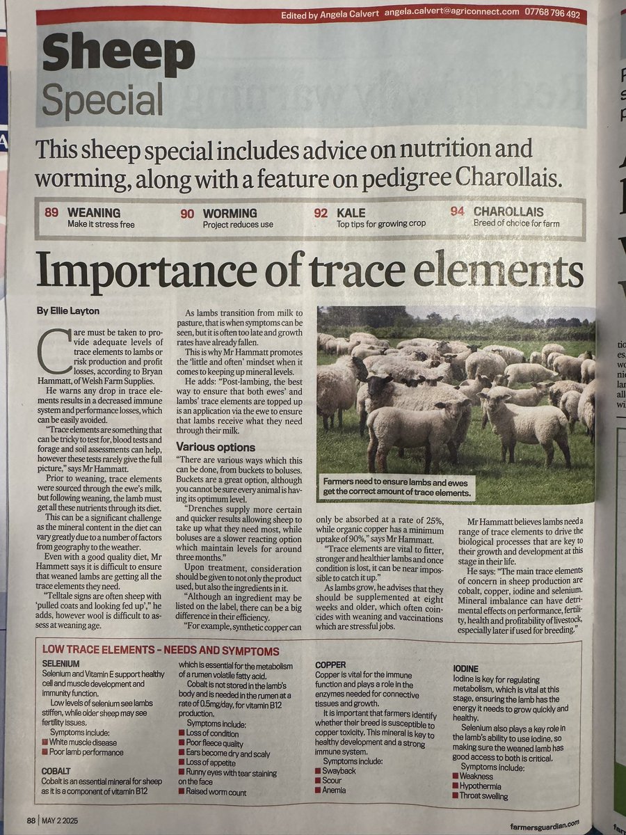 FarmWelsh's tweet image. Little and often.………

#smallbusinessesstickingtogether #SheepAndCattleDrench #wholelambcolostrum #thedaffodilisrising #lambdefender #WorksEverywhere #notjustforwales #littleandoften #eweturnpodcast #WelshFarmSupplies