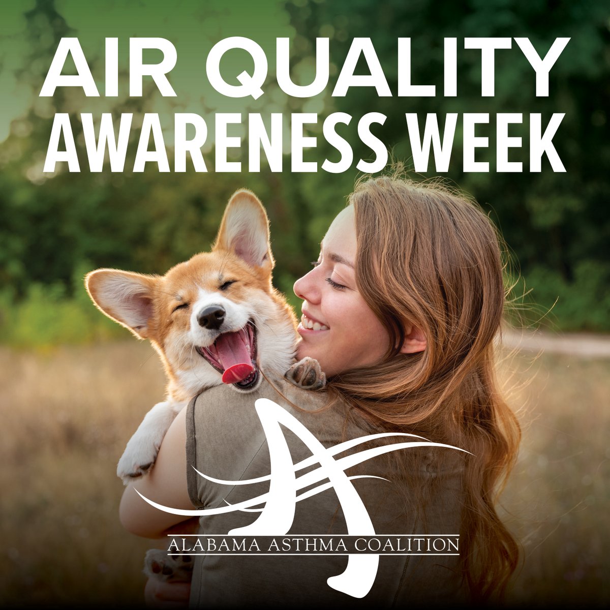We love them but our furry babies, among other things, can trigger allergies &amp; asthma. There are things you can do: tinyurl.com/mpa622ph including buying an air cleaner with a HEPA filter. Or you can build your own air purifier! It is called a Corsi-Rosenthal Box (CRBox).  1/2