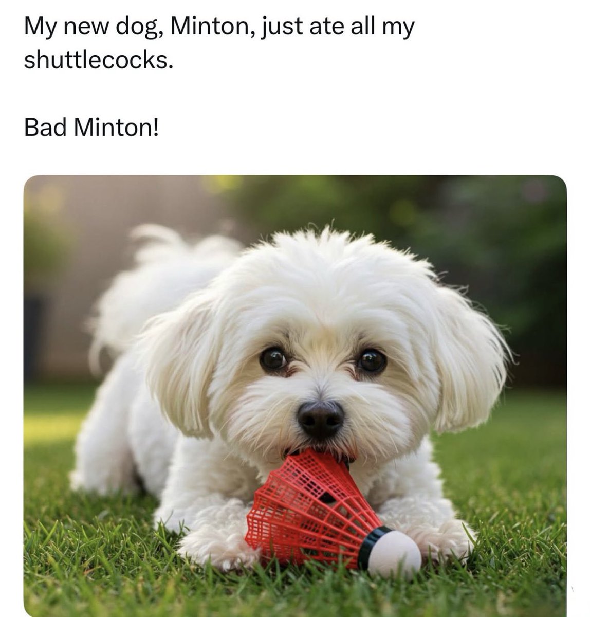 Dad Jokes (@dadsaysjokes) on Twitter photo 