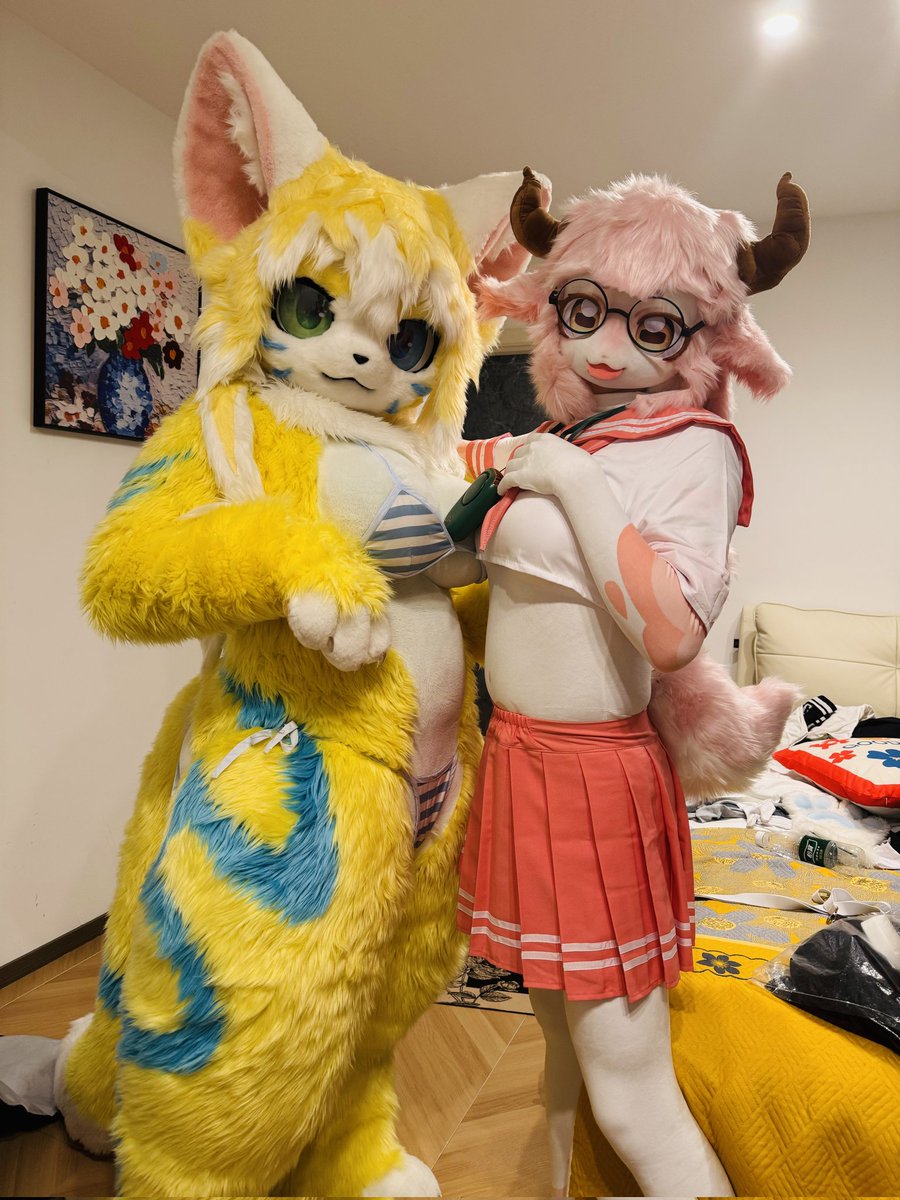 小猫呜诺 tweet media