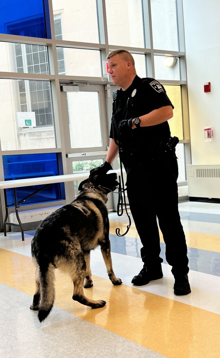 MaldenPolice's tweet image. Meet Our K9 Unit: Officer Michael Polston &amp;amp; K9 Mattis

The Malden Police Department is proud to spotlight our K9 Unit, currently comprised of Officer Michael Polston and his K9 partner, Mattis — a seven year-old male German Shepherd imported from the Czech Republic.

Graduates of