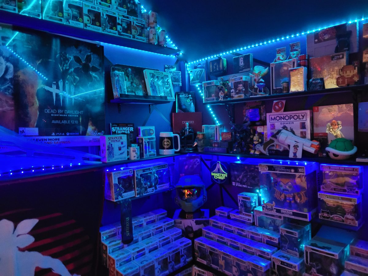 Dat_idiot_'s tweet image. Tryin to decide and I need help please. Im nothing special streamer wise and im wondering if i should stop streaming and sell all my collectables...yes...my room of collectables.

please give opinion..i need help with this one