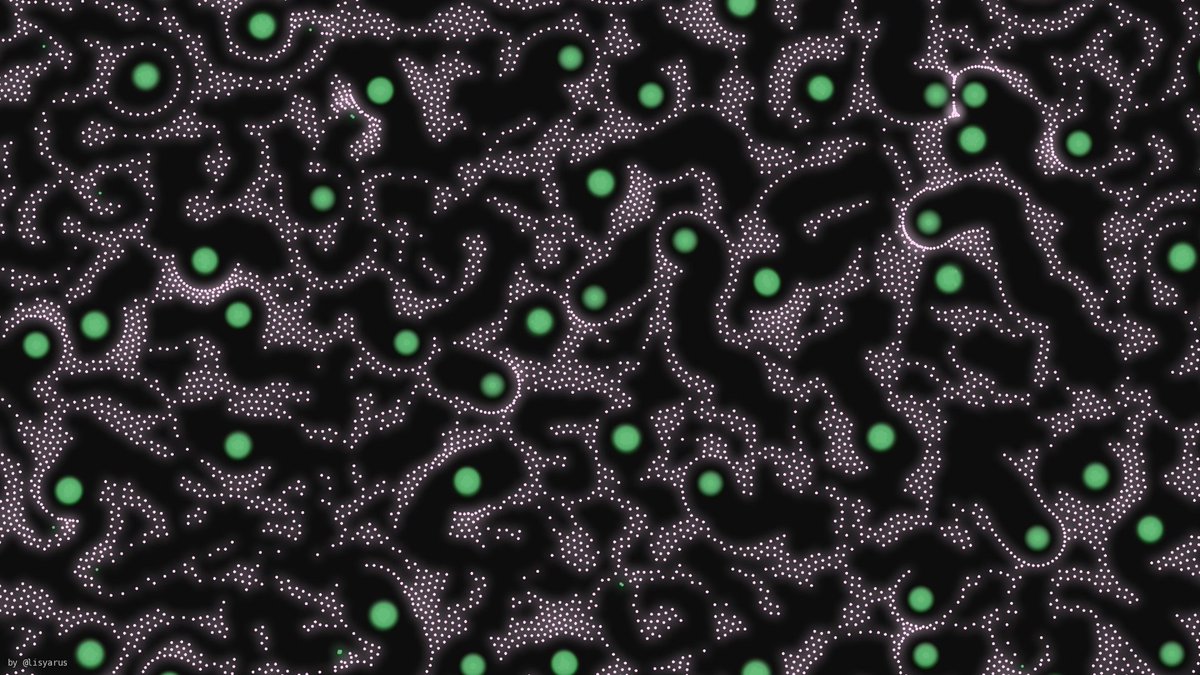 Nikita Lisitsa tweet media