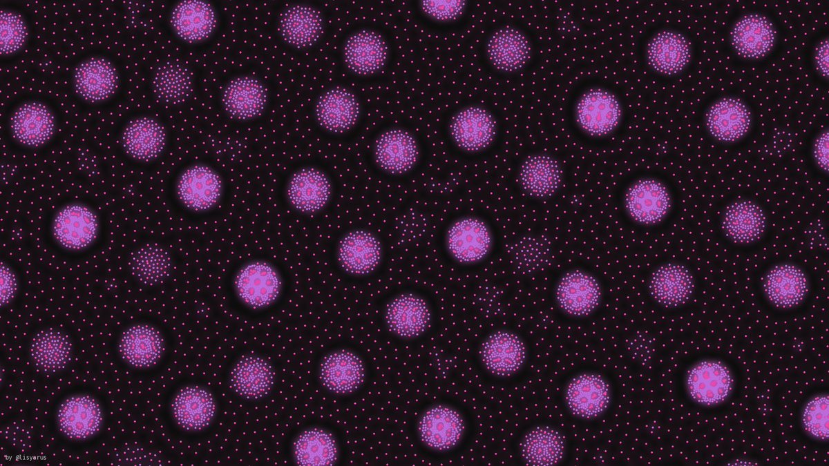 Nikita Lisitsa tweet media