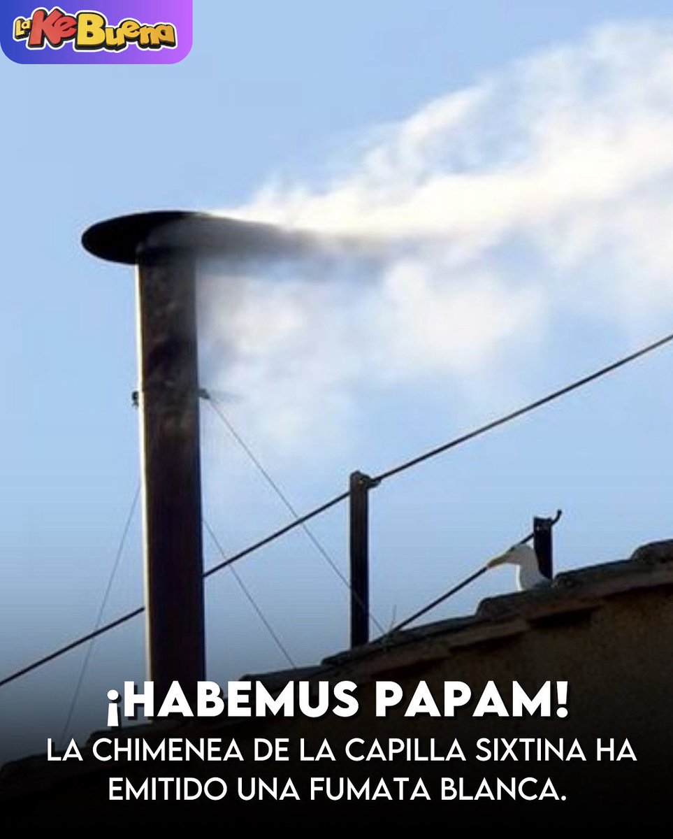 🔴ULTIMA HORA | FUMATA BLANCA EN EL VATICANO

La chimenea de la capilla Sixtina ha emitido una fumata blanca (nube de humo que anuncia el resultado de la votación en la elección de papa).

#habemuspapam