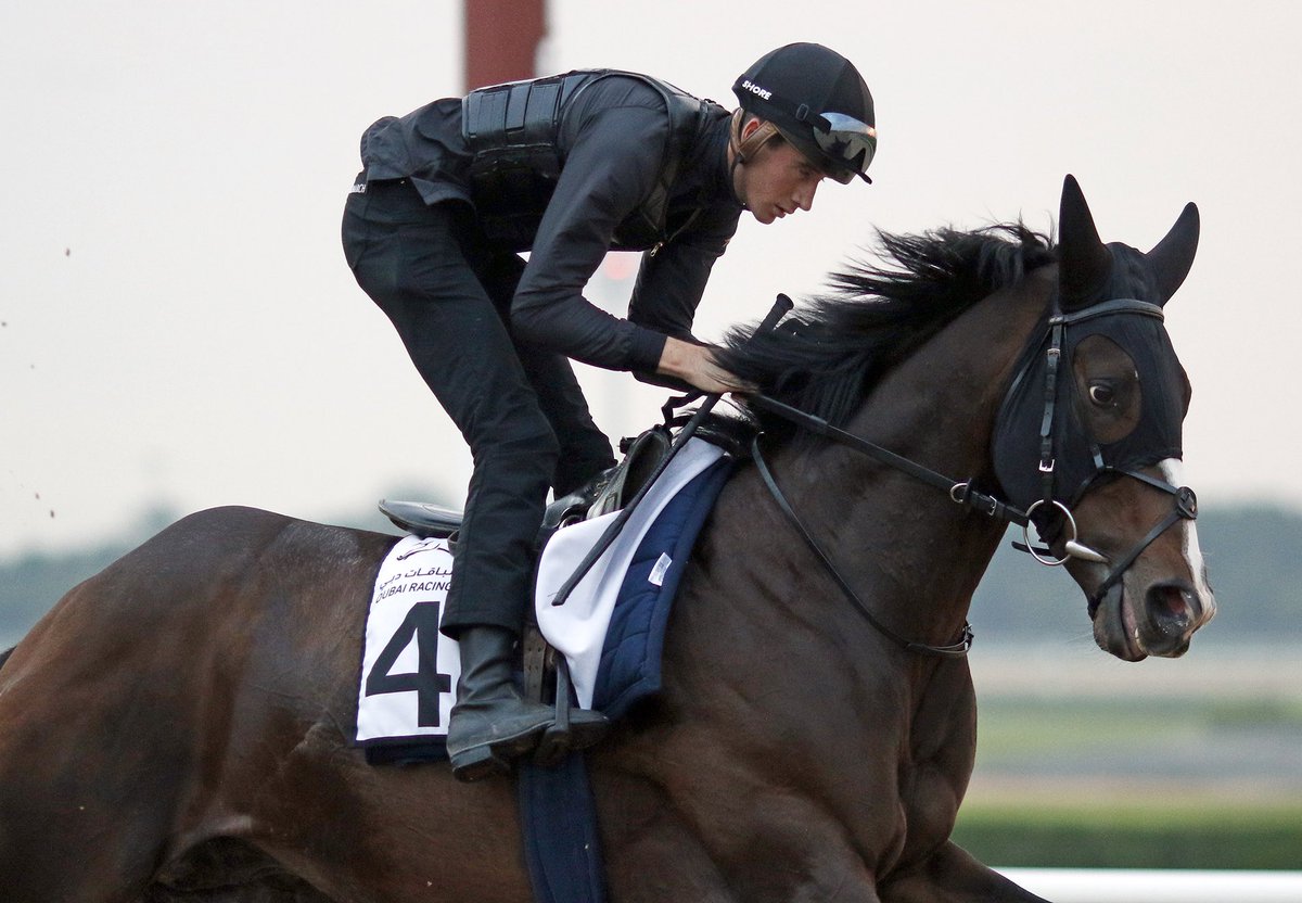Tattersalls Online (@tatts_online) on Twitter photo ๐๐ญ๐ซ๐จ๐ง๐ ๐๐๐ญ๐ญ๐๐ซ๐ฌ๐๐ฅ๐ฅ๐ฌ ๐๐ง๐ฅ๐ข๐ง๐ ๐๐๐ฒ ๐๐๐ฅ๐ ๐ญ๐จ๐ฉ๐ฉ๐๐ ๐๐ฒ ๐๐๐ฌ๐ญ๐ซ๐ฎ๐๐ญ๐ข๐ฏ๐ ๐๐ญ 76,000 ๐๐ฎ๐ข๐ง๐๐๐ฌ
A lively afternoon of bidding saw Dubai-bound DESTRUCTIVE lead the way at the #TattsOnline May Sale.
Report: bit.ly/4505fYv ๐๐ญ๐ซ๐จ๐ง๐ ๐๐๐ญ๐ญ๐๐ซ๐ฌ๐๐ฅ๐ฅ๐ฌ ๐๐ง๐ฅ๐ข๐ง๐ ๐๐๐ฒ ๐๐๐ฅ๐ ๐ญ๐จ๐ฉ๐ฉ๐๐ ๐๐ฒ ๐๐๐ฌ๐ญ๐ซ๐ฎ๐๐ญ๐ข๐ฏ๐ ๐๐ญ 76,000 ๐๐ฎ๐ข๐ง๐๐๐ฌ
A lively afternoon of bidding saw Dubai-bound DESTRUCTIVE lead the way at the #TattsOnline May Sale.
Report: bit.ly/4505fYv