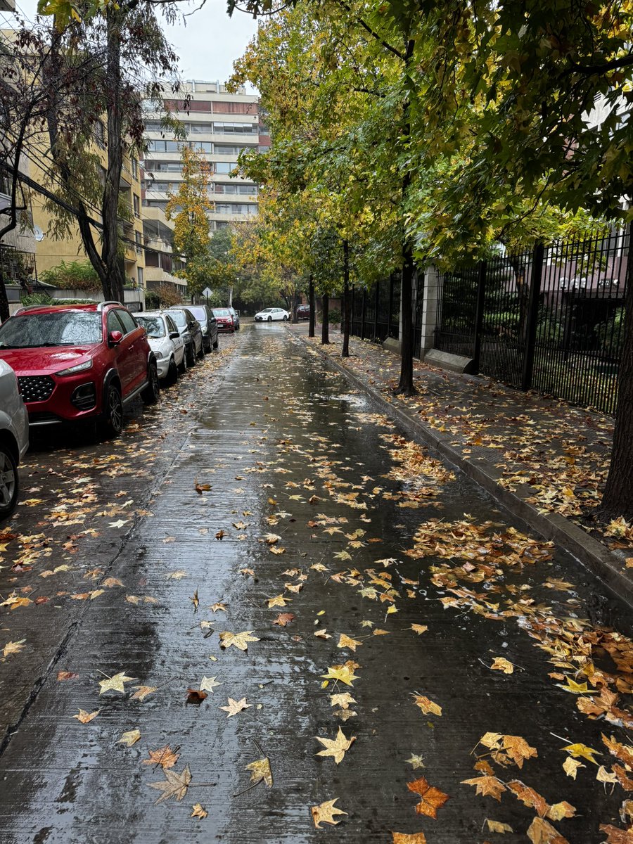 Nada se compara a caminar bajo la lluvia!!!
Al menos para mí es algo muy distinto y único!!!!

Buen Jueves para todos!!!!