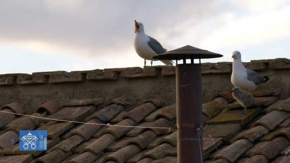 Chapelle Sixtine.
McDo de la Ronde.
Même combat.