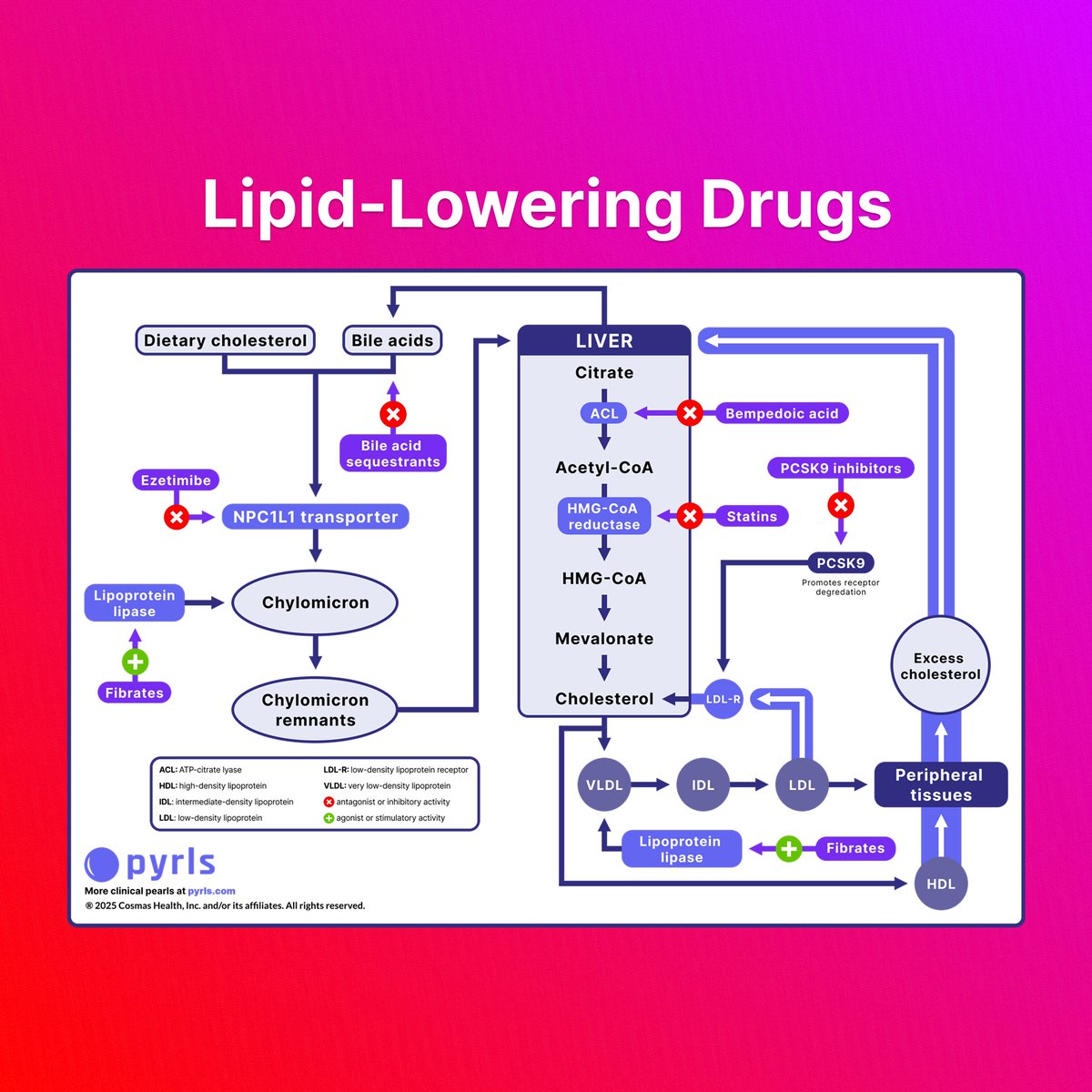 Pyrls is excited to announce the release of a new type of content item: Mechanism of Action Summaries! 

The foundation for making high-quality pharmacotherapy recommendations is an understanding of physiology and pharmacology.

Each summary reviews a key physiological process