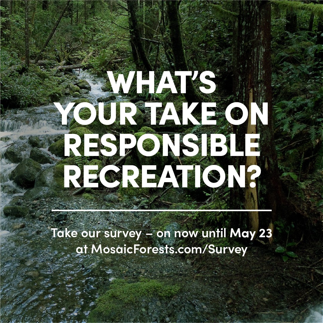 MosaicForests tweet media