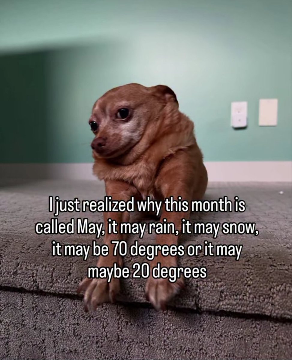 MAY for a reason !!🥱