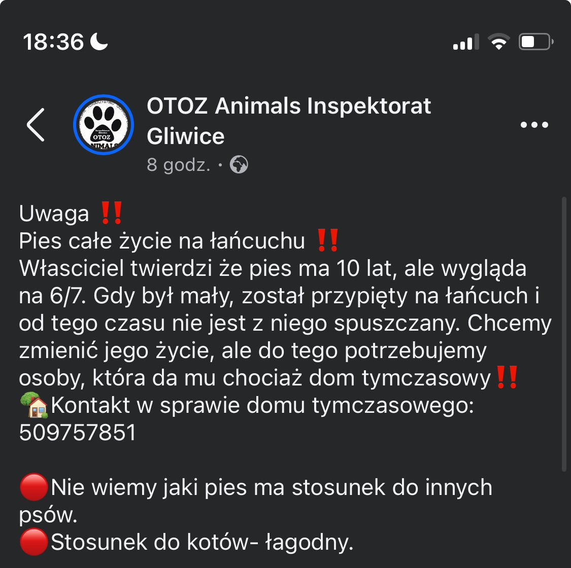 Polska, XXIw. Własciciel twierdzi że pies ma 10 lat, ale wygląda na 6/7. Gdy był mały, został przypięty na łańcuch i od tego czasu nie jest z niego spuszczany❗️💔 Szukamy domu, chociaż tymczasowego.
☎️509757851
Nie wiemy jaki pies ma stosunek do innych psów,  do kotów- łagodny.