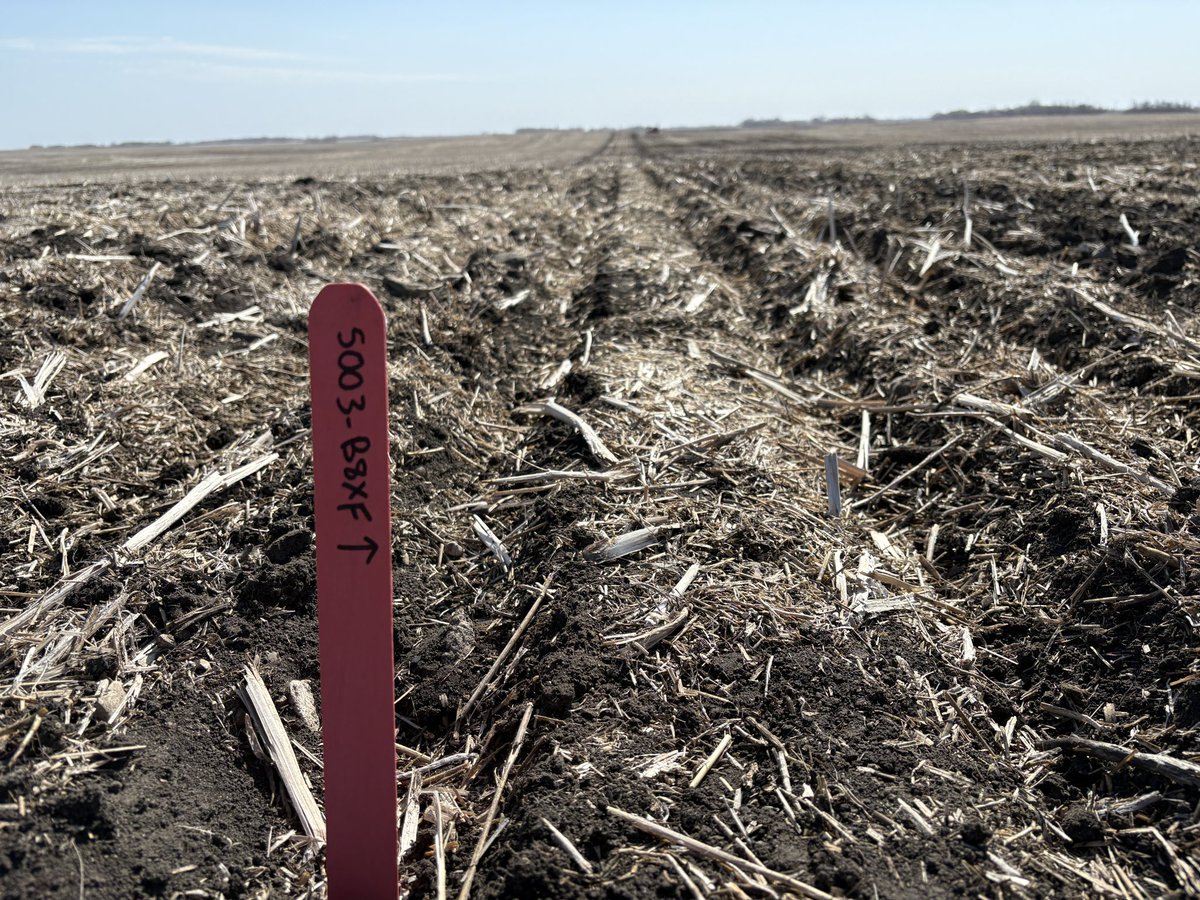 Branden Burns tweet media