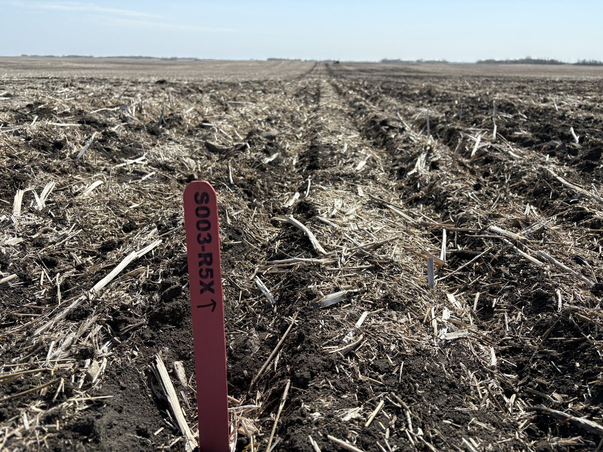 Branden Burns tweet media