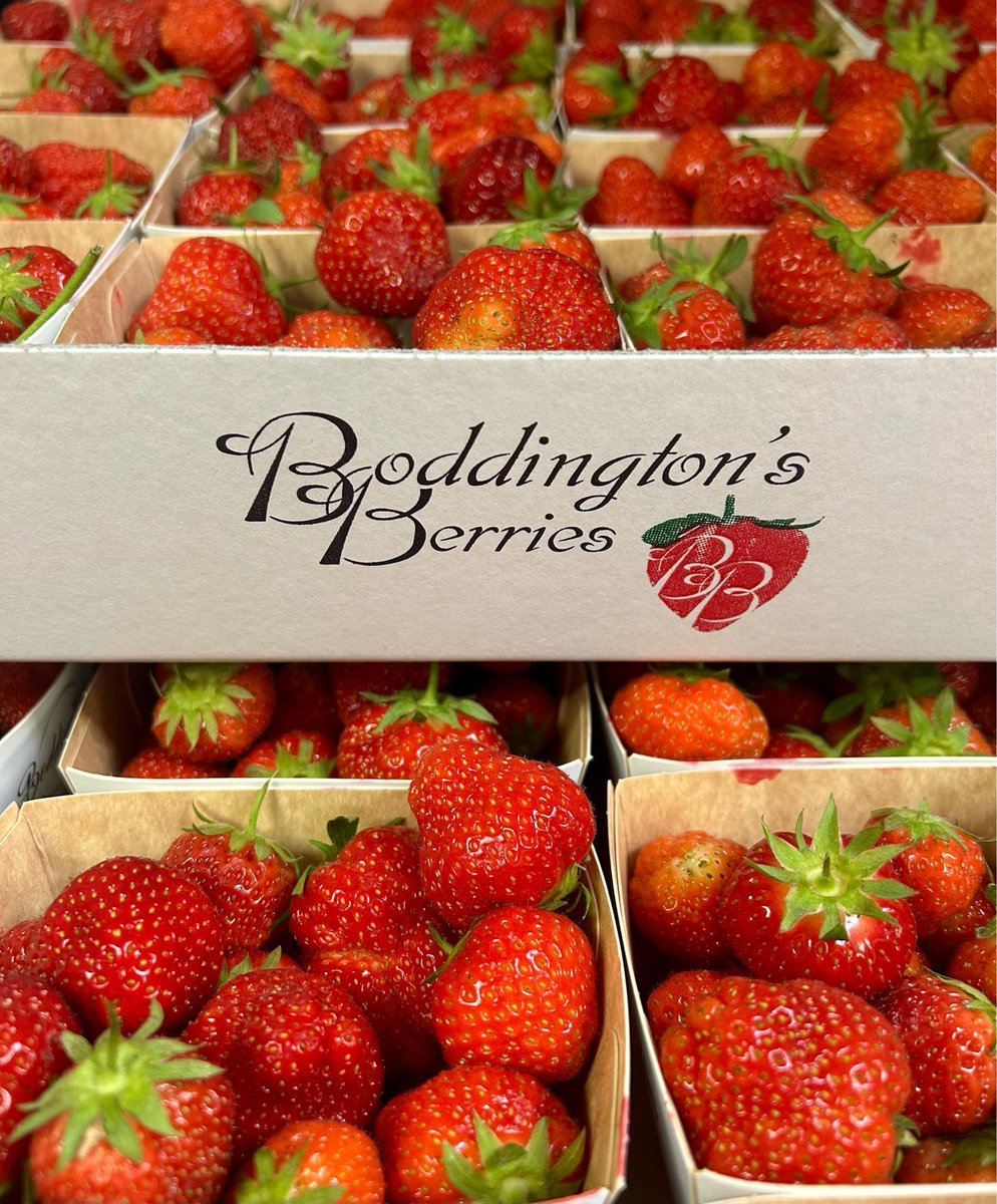 We’re thrilled to have the sweetest, juiciest strawberries in store, straight from Boddington's Berries! 🌱 These locally grown gems are the best in the west, and we’ve proudly partnered with Boddington’s for over three years. ❤️