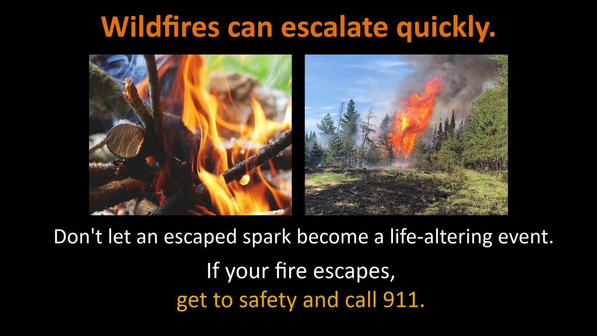 Minnesota Forestry tweet media