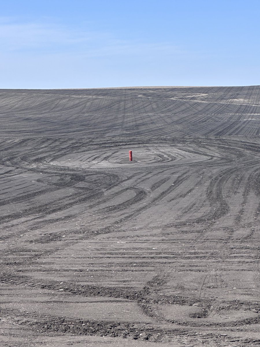 Jodi DeJong-Hughes tweet media