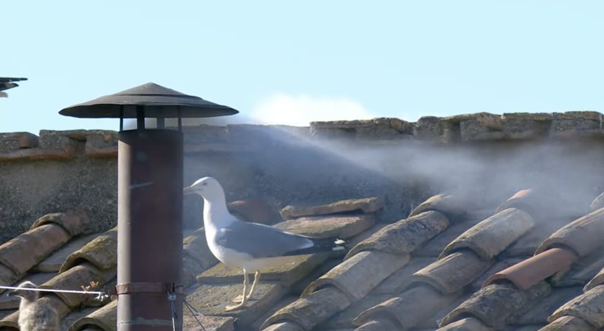 L’élection du Pape en ce 8 mai est hautement symbolique : une date de #paix, de #mémoire, et désormais d’#espérance pour le monde entier. Un tournant spirituel qui résonne bien au-delà du #Vatican.