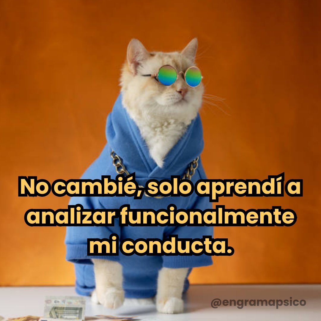 No cambié, solo aprendí a analizar funcionalmente mi conducta.