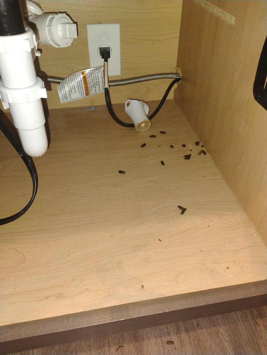 amandymariee's tweet photo. @AirbnbHelp @Airbnb I reported a serious health and sanitation issue (rodent droppings) in my recent stay, complete with timestamped photos. My host refused a refund, and now support has gone silent. This is unacceptable. Please escalate this. #Airbnb #CustomerSupport #DoBetter https://t.co/bAJHN6xhVE