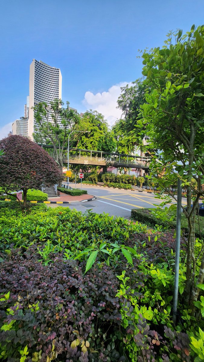 ayesharevert's tweet photo. Beach Road. Without the beach. 🇸🇬 https://t.co/s6VBVvNx9L