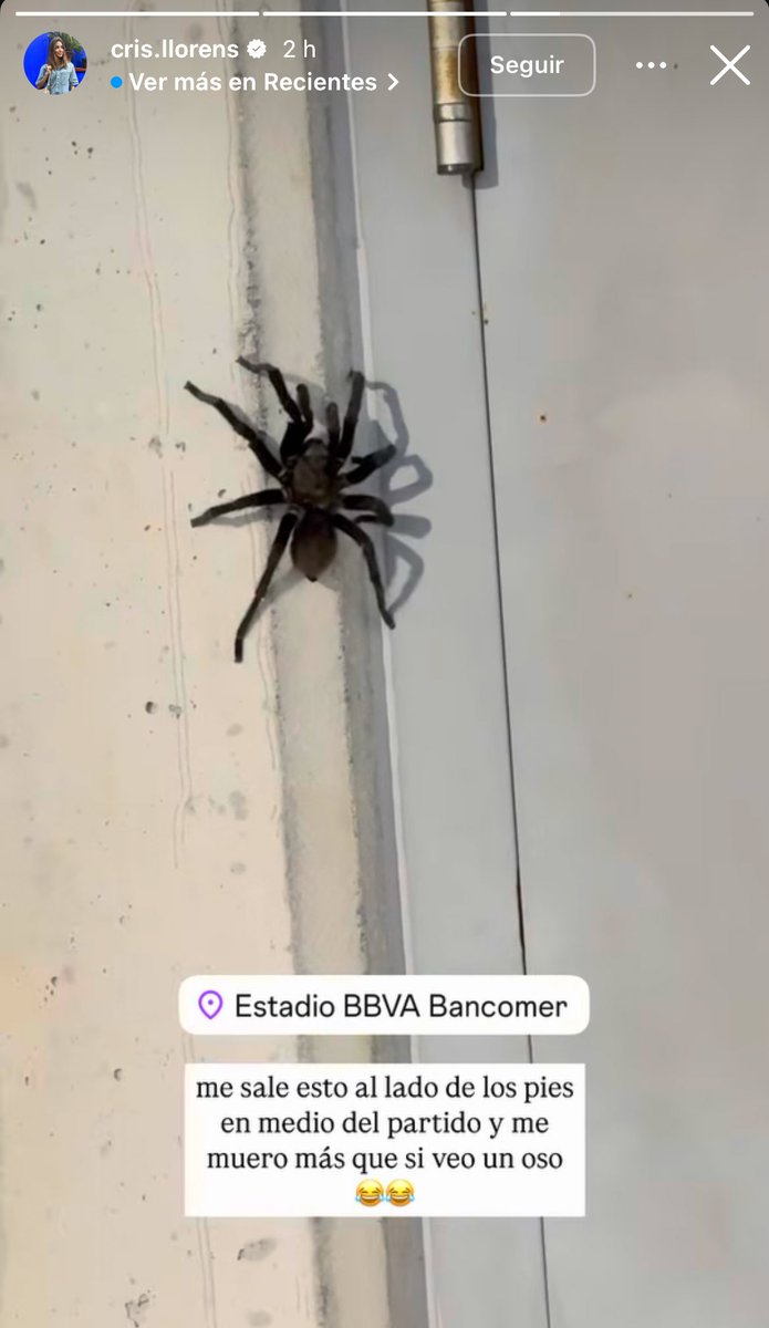 SancadillaNorte's tweet photo. El susto que se llevó la señora de Canales en el "Gigante de Acero'. https://t.co/7wzKqKJFkW