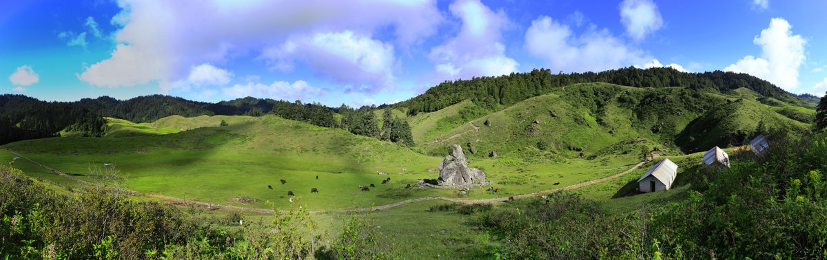 nepaltourismb's tweet photo. 📷 Thrilling Thursday feels different in Khaptad National Park — quiet, wild, and totally off the grid.
Tucked away among #Achham #Bajhang #Bajura districts of Nepal’s far-west.
https://t.co/o0sIiQl1Zg
#Khaptad #FarwestNepal #HiddenNepal #NepalNOW
📷 (pic 2): Hemanta Rai https://t.co/GzTVtv2SYI