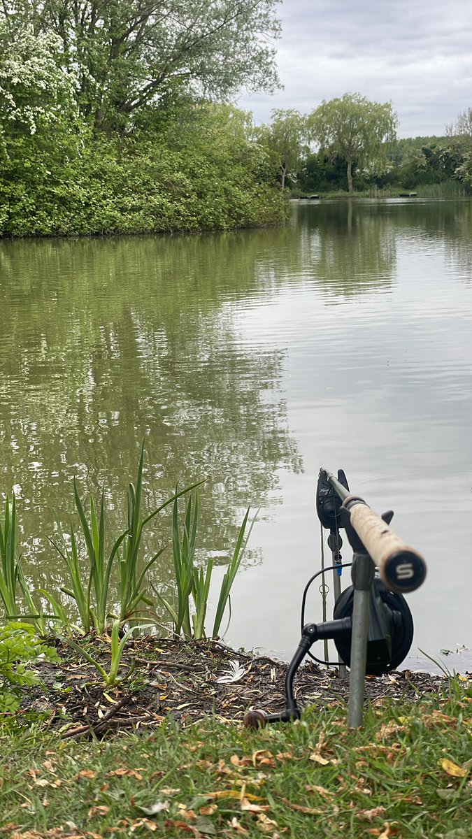 Still blanking but seen a couple near an island so moved swim 2 of the evening 🎣
#ukblankingscene #carpfishing #fishing #fishingtrip