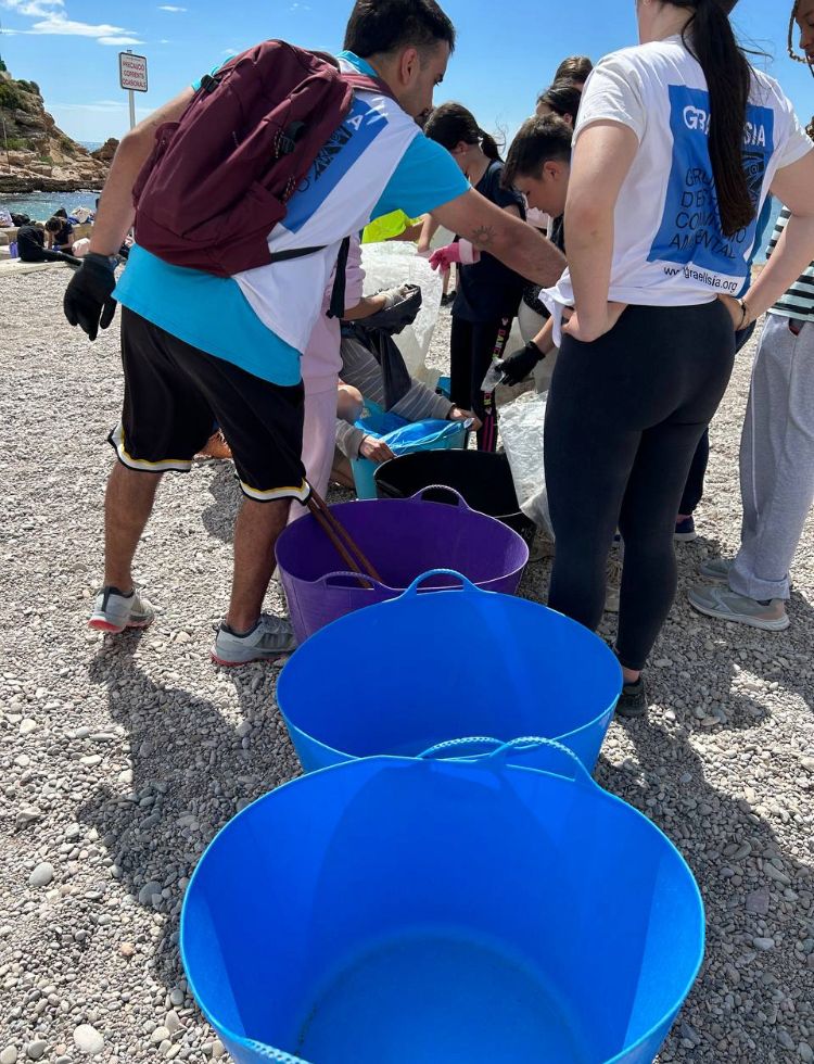 Escola Sant Jordi tweet media