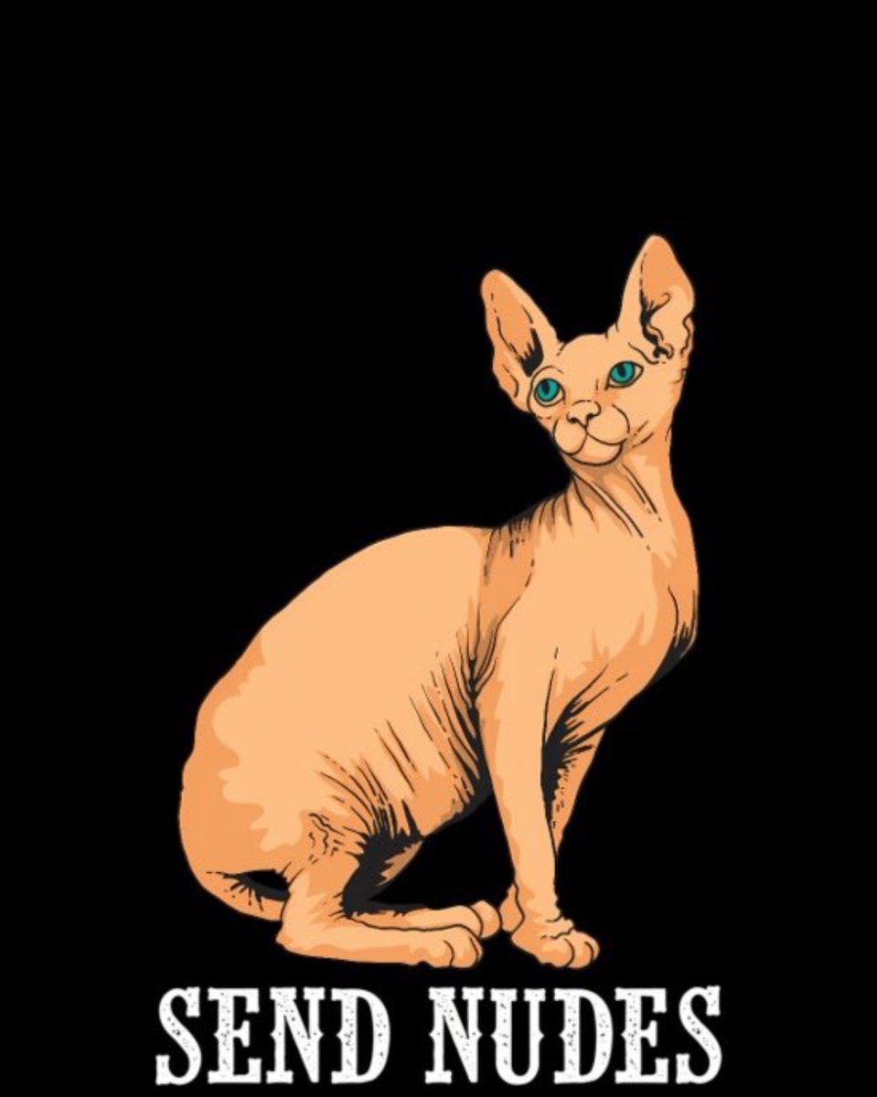 Send these 4 images too for the website