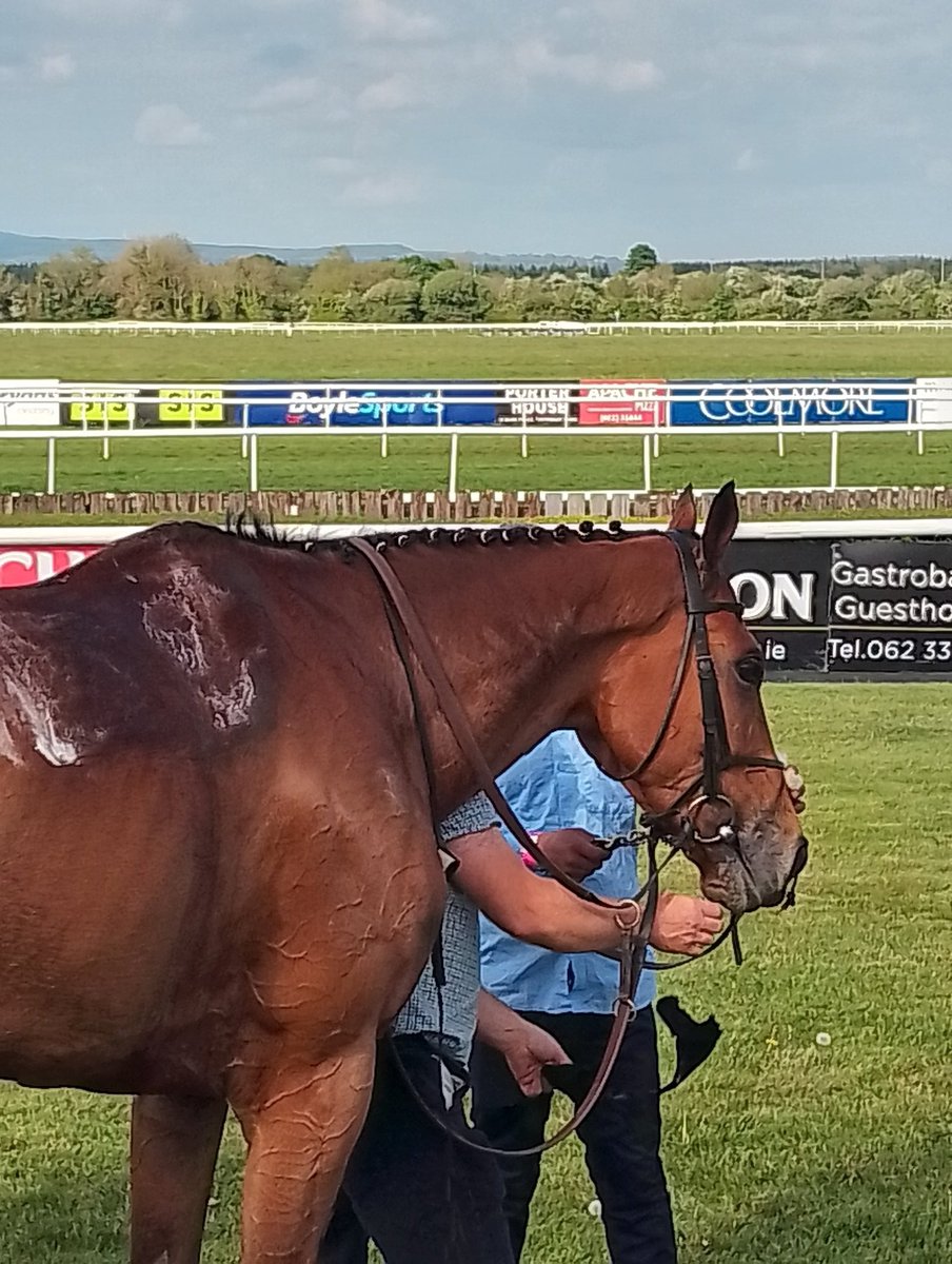 Joe Seward (@joeseward1) on Twitter photo The <a href="/hotelminella/">Hotel Minella</a> Beginners Chase here at <a href="/tipperaryraces/">Tipperary Racecourse</a> goes to Willie Mullins, <a href="/PTownend/">Paul Townend</a> and Gigginstown House Stud with Gold Dancer, landing the opener. He made most to beat
Le Coq Hardi who can pick up a beginners chase going forward.
#Tipperary
#HorseRacing The <a href="/hotelminella/">Hotel Minella</a> Beginners Chase here at <a href="/tipperaryraces/">Tipperary Racecourse</a> goes to Willie Mullins, <a href="/PTownend/">Paul Townend</a> and Gigginstown House Stud with Gold Dancer, landing the opener. He made most to beat
Le Coq Hardi who can pick up a beginners chase going forward.
#Tipperary
#HorseRacing