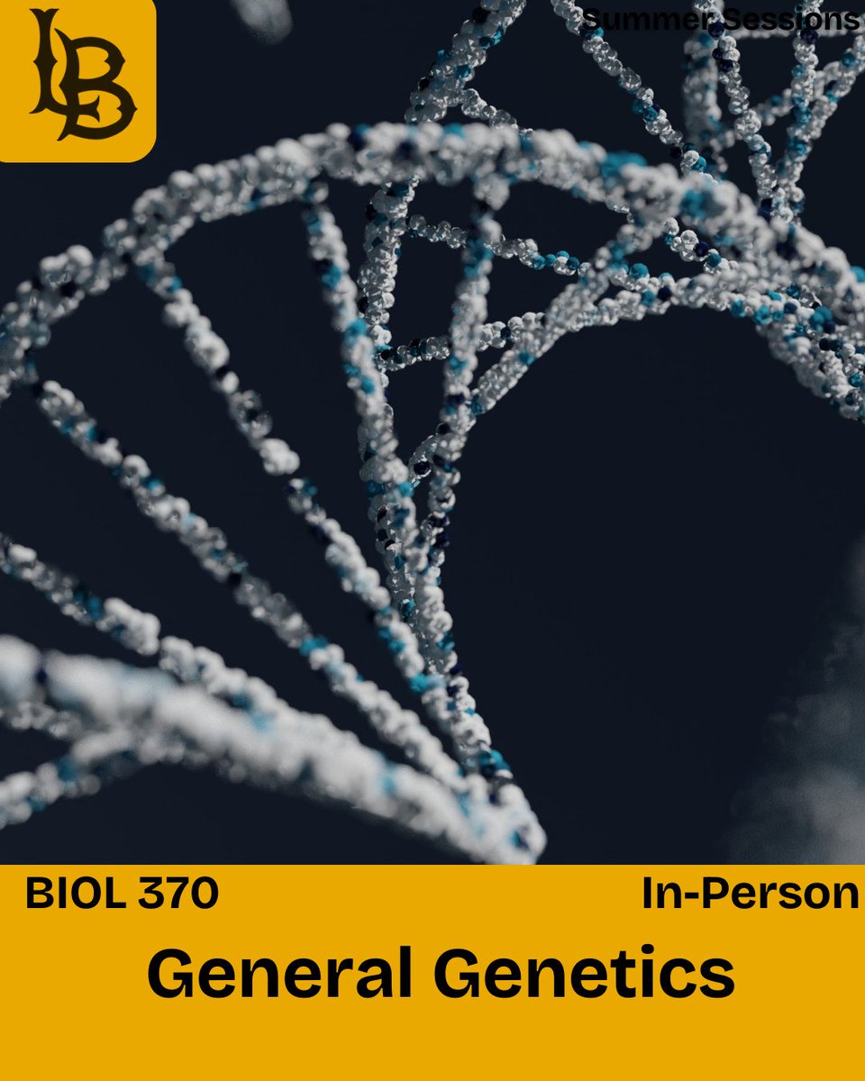Dive into the science of heredity in BIOL 370 – General Genetics! 🧬🔬 Study classical transmission genetics and explore the molecular mechanisms behind gene expression and regulation. Enroll today! ☀️
 #SummerSessions #CSULB #GoBeach