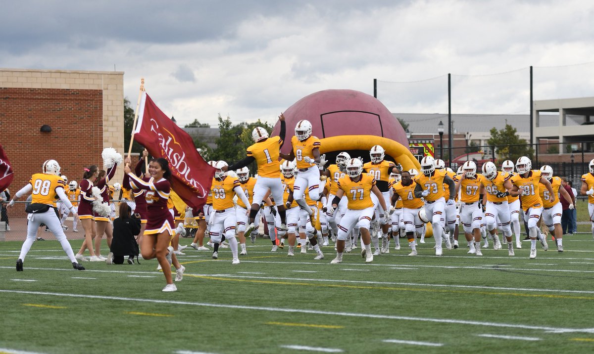 Lance Johnson tweet media