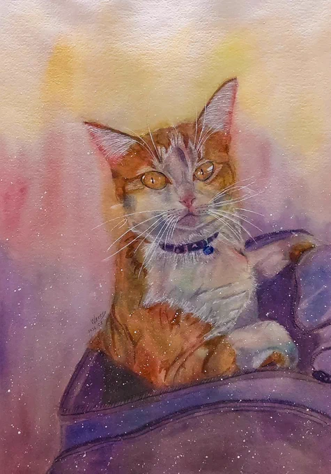 「ボク、キャリーバッグ大好き☆」自分から進んで入っちゃいます#illustration #watercolor #水彩画 #猫 #猫のいる暮らし𓏲𓎨 